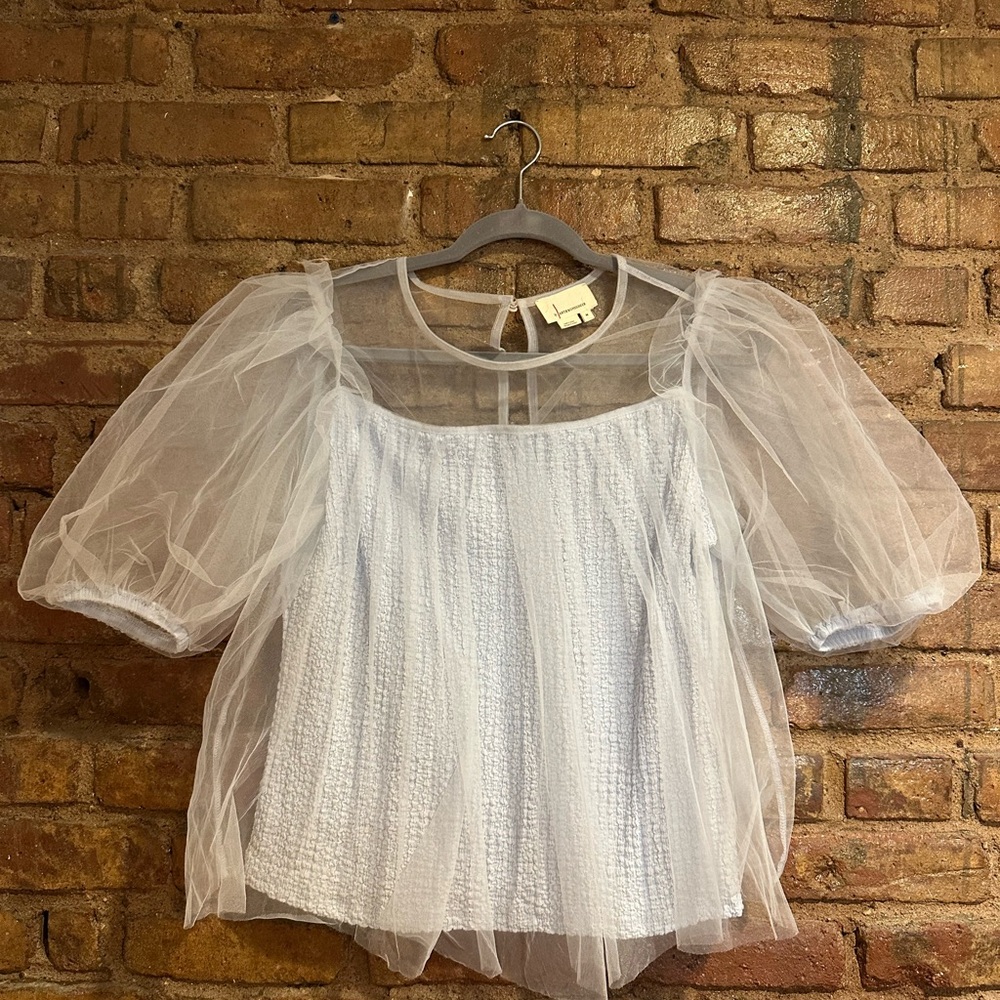 Anthropologie Sheer Light Blue Top with Puff Sleeves